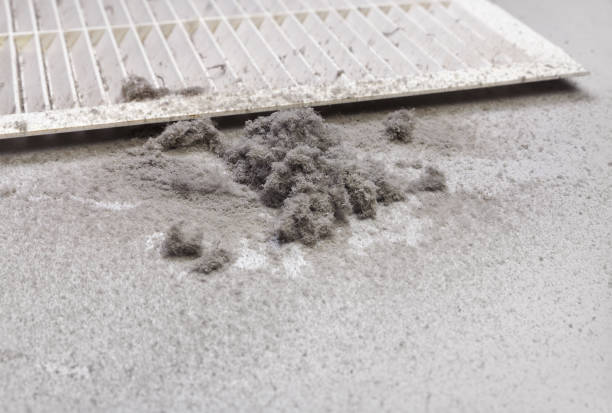 Best Best Air Duct Cleaning Company  in Viera East, FL